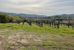 Single Family Residence,  Monticello road, Napa, CA 94558 - 52