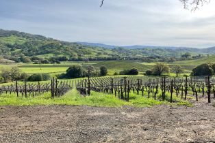 Single Family Residence,  Monticello road, Napa, CA 94558 - 6