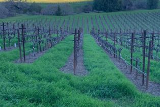 Single Family Residence,  Monticello road, Napa, CA 94558 - 9