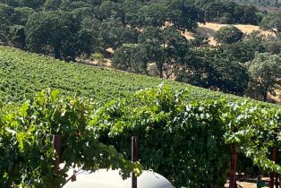 Single Family Residence,  Monticello road, Napa, CA 94558 - 22