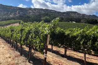 Single Family Residence,  Monticello road, Napa, CA 94558 - 23