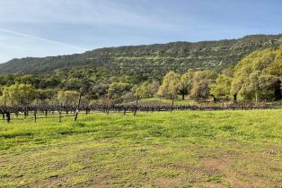 Single Family Residence,  Monticello road, Napa, CA 94558 - 54