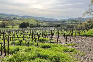 Single Family Residence,  Monticello road, Napa, CA 94558 - 2