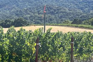 Single Family Residence,  Monticello road, Napa, CA 94558 - 10