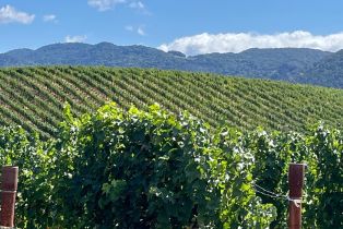 Single Family Residence,  Monticello road, Napa, CA 94558 - 7