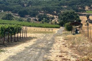 Single Family Residence,  Monticello road, Napa, CA 94558 - 19