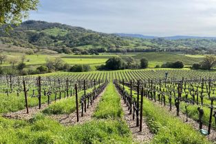 Single Family Residence, 4060 Monticello Rd, Napa, CA  Napa, CA 94558