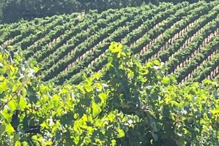 Single Family Residence,  Monticello road, Napa, CA 94558 - 21