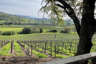 Single Family Residence,  Monticello road, Napa, CA 94558 - 56