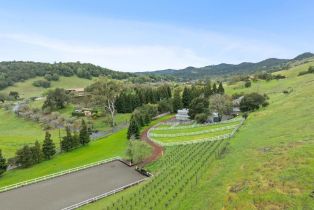 Single Family Residence,  Lovall Valley Loop road, Sonoma, CA 95476 - 94