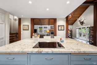 Single Family Residence,  Lovall Valley Loop road, Sonoma, CA 95476 - 31