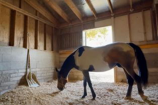 Single Family Residence,  Lovall Valley Loop road, Sonoma, CA 95476 - 72