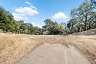 Single Family Residence, Mark West Springs road, Santa Rosa, CA 95404 - 49