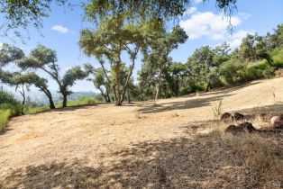 Single Family Residence, Mark West Springs road, Santa Rosa, CA 95404 - 23