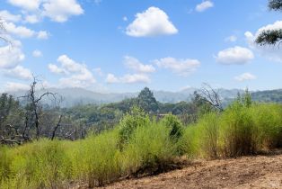 Single Family Residence, Mark West Springs road, Santa Rosa, CA 95404 - 65