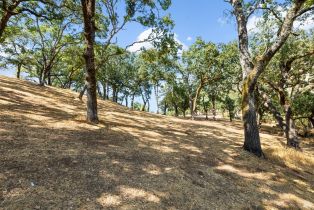 Single Family Residence, Mark West Springs road, Santa Rosa, CA 95404 - 18