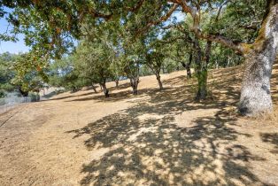 Single Family Residence, Mark West Springs road, Santa Rosa, CA 95404 - 52