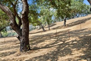 Single Family Residence, Mark West Springs road, Santa Rosa, CA 95404 - 51