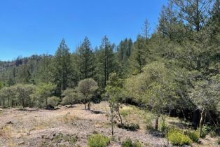 Residential Acreage,  Gates road, Santa Rosa, CA 95404 - 14