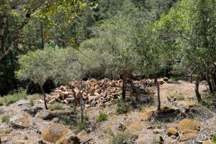 Residential Acreage,  Gates road, Santa Rosa, CA 95404 - 19