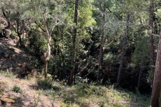 Residential Acreage,  Gates road, Santa Rosa, CA 95404 - 20