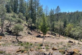 Residential Acreage,  Gates road, Santa Rosa, CA 95404 - 17