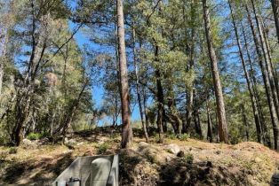 Residential Acreage,  Gates road, Santa Rosa, CA 95404 - 6