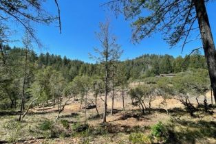 Residential Acreage,  Gates road, Santa Rosa, CA 95404 - 18