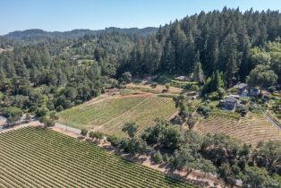 Single Family Residence,  Dry Creek road, Healdsburg, CA 95448 - 2