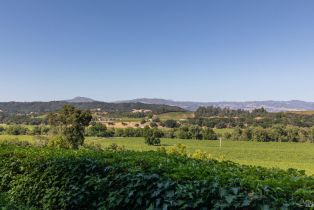 Single Family Residence,  Dry Creek road, Healdsburg, CA 95448 - 5