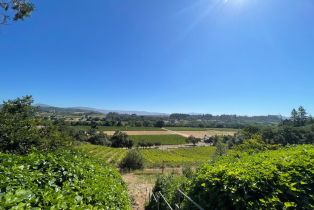 Single Family Residence,  Dry Creek road, Healdsburg, CA 95448 - 15