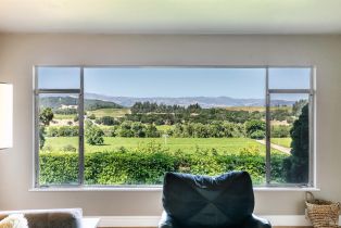 Single Family Residence,  Dry Creek road, Healdsburg, CA 95448 - 8