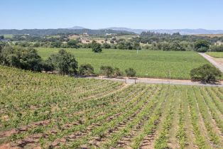 Single Family Residence,  Dry Creek road, Healdsburg, CA 95448 - 41