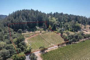 Single Family Residence,  Dry Creek road, Healdsburg, CA 95448 - 3