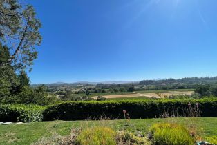Single Family Residence,  Dry Creek road, Healdsburg, CA 95448 - 14
