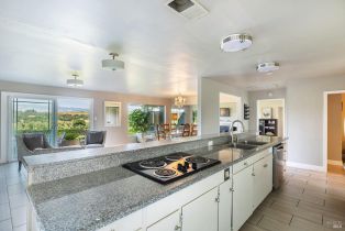 Single Family Residence,  Dry Creek road, Healdsburg, CA 95448 - 17