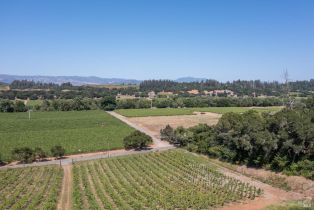 Single Family Residence,  Dry Creek road, Healdsburg, CA 95448 - 29