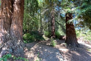 Single Family Residence,  Dry Creek road, Healdsburg, CA 95448 - 42