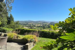 Single Family Residence,  Dry Creek road, Healdsburg, CA 95448 - 12