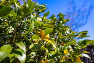 Condominium,  Fountain Grove circle, Napa, CA 94558 - 18