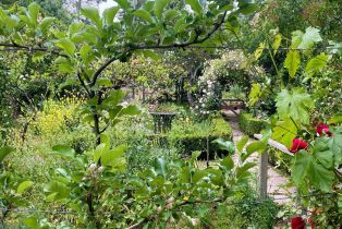 Single Family Residence,  3rd avenue, Napa, CA 94558 - 81