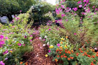 Single Family Residence,  3rd avenue, Napa, CA 94558 - 70