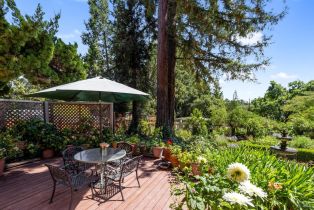Single Family Residence,  3rd avenue, Napa, CA 94558 - 63