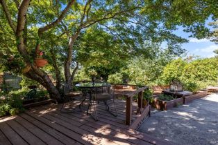 Single Family Residence,  3rd avenue, Napa, CA 94558 - 25