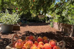 Single Family Residence,  3rd avenue, Napa, CA 94558 - 33