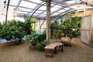 Single Family Residence,  3rd avenue, Napa, CA 94558 - 85