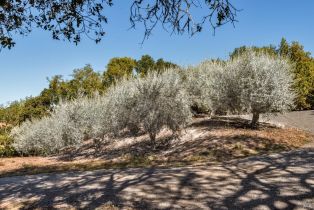 Single Family Residence,  Matanzas Creek lane, Santa Rosa, CA 95404 - 60