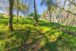 Residential Lot,  Steele Canyon road, Napa, CA 94558 - 16