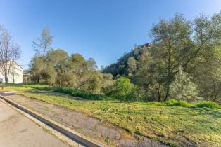 Residential Lot,  Steele Canyon road, Napa, CA 94558 - 23