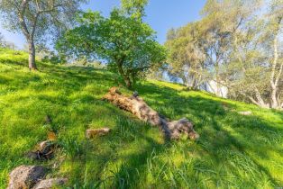 Residential Lot,  Steele Canyon road, Napa, CA 94558 - 20